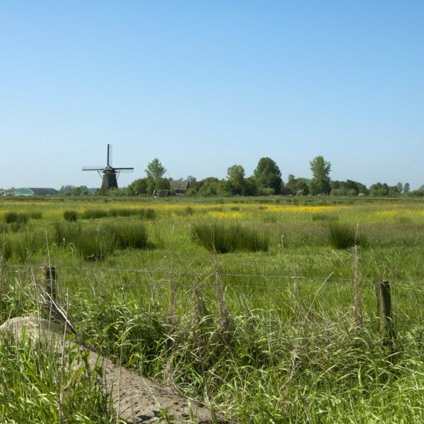 shutterstock_592797770